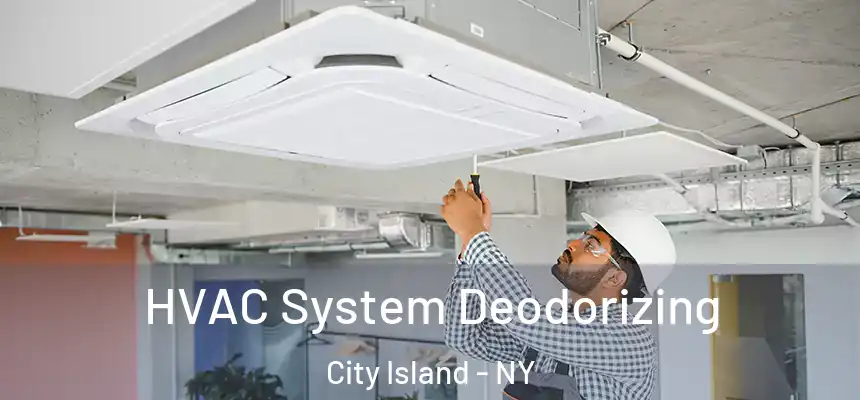  HVAC System Deodorizing City Island - NY