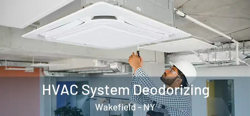 HVAC System Deodorizing Wakefield - NY