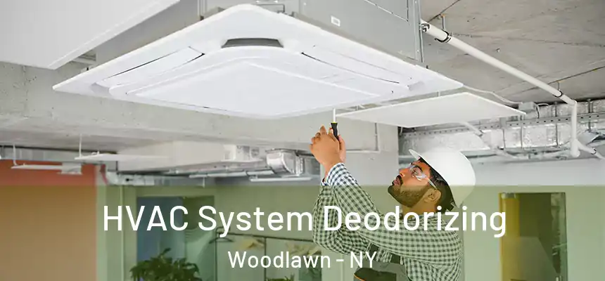 HVAC System Deodorizing Woodlawn - NY