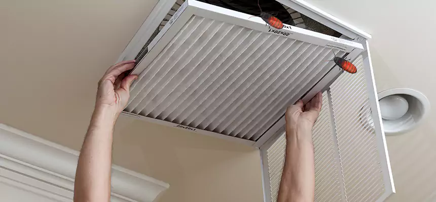 Preventive Cockroach-Proofing for Ducts in Bronx