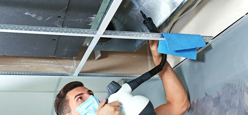 Our Air Duct Rodent Removal Services in Bronx, NY