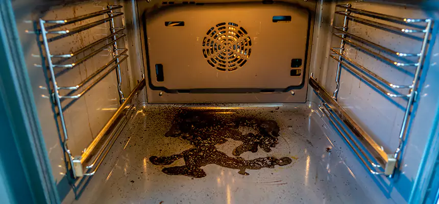 Our Dryer Vent Mold Cleaning Services in Bronx, NY