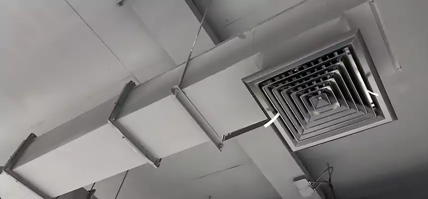 Our Rodent Droppings In Vents Services in Bronx, NY