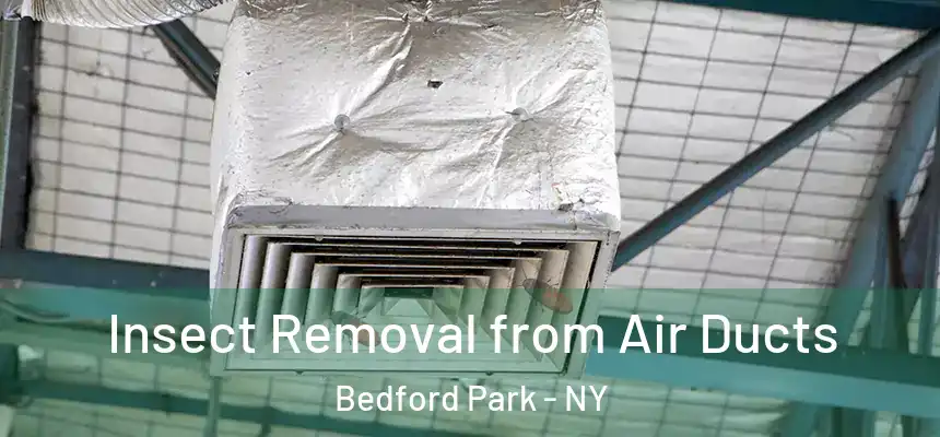  Insect Removal from Air Ducts Bedford Park - NY