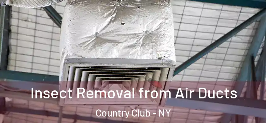  Insect Removal from Air Ducts Country Club - NY