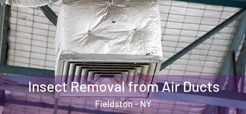  Insect Removal from Air Ducts Fieldston - NY