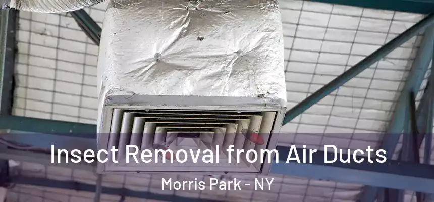  Insect Removal from Air Ducts Morris Park - NY