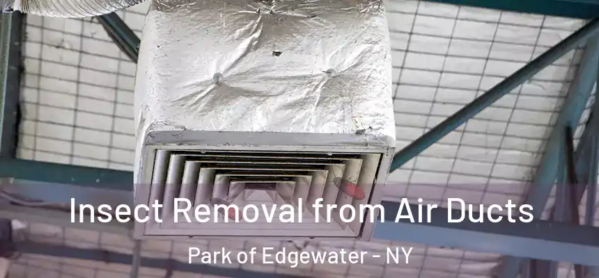 Insect Removal from Air Ducts Park of Edgewater - NY