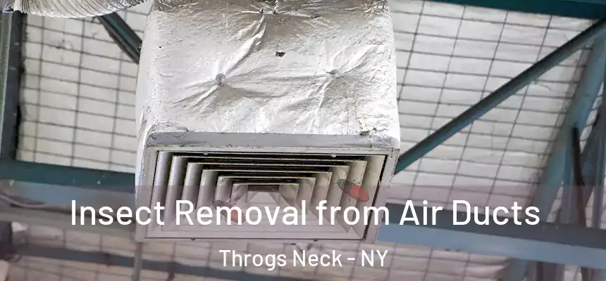  Insect Removal from Air Ducts Throgs Neck - NY