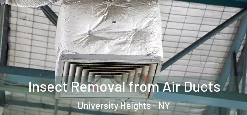 Insect Removal from Air Ducts University Heights - NY