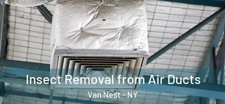 Insect Removal from Air Ducts Van Nest - NY