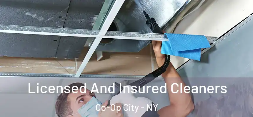  Licensed And Insured Cleaners Co-Op City - NY