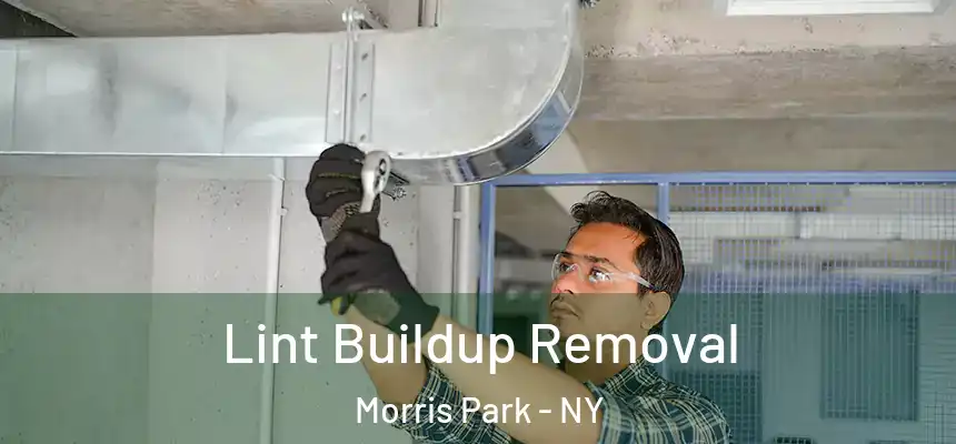  Lint Buildup Removal Morris Park - NY