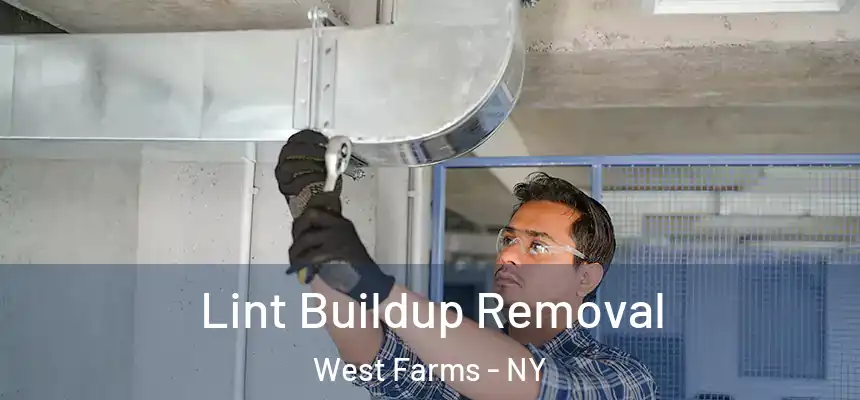 Lint Buildup Removal West Farms - NY