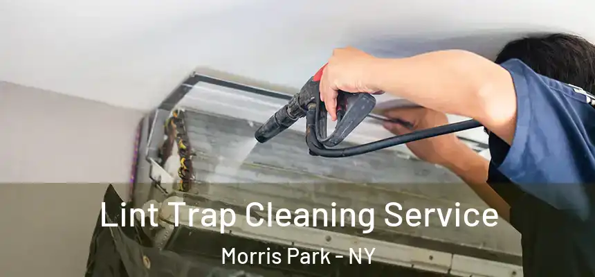  Lint Trap Cleaning Service Morris Park - NY