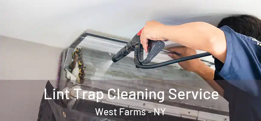 Lint Trap Cleaning Service West Farms - NY
