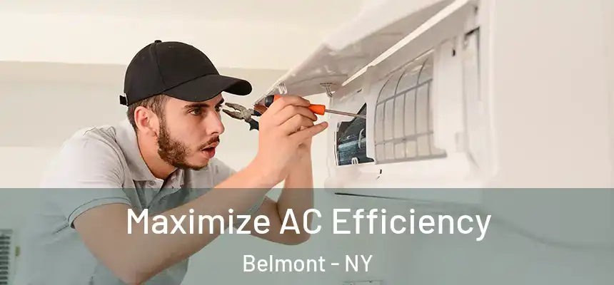  Maximize AC Efficiency Belmont - NY