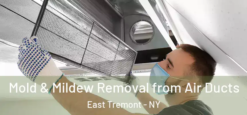 Mold & Mildew Removal from Air Ducts East Tremont - NY