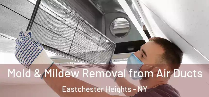 Mold & Mildew Removal from Air Ducts Eastchester Heights - NY