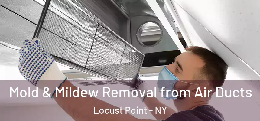  Mold & Mildew Removal from Air Ducts Locust Point - NY