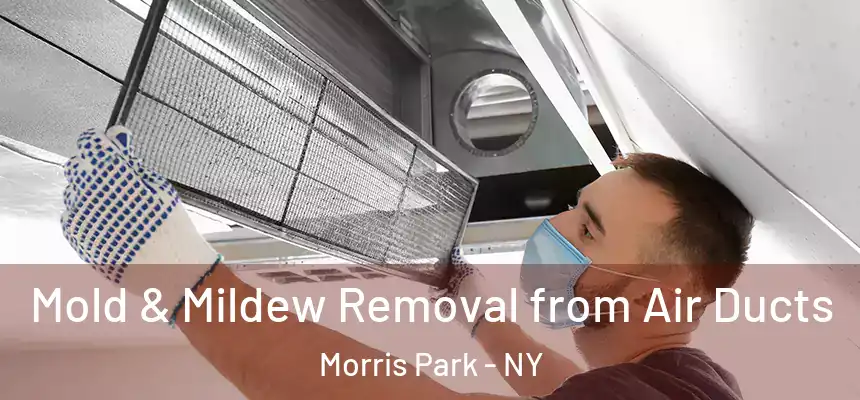 Mold & Mildew Removal from Air Ducts Morris Park - NY