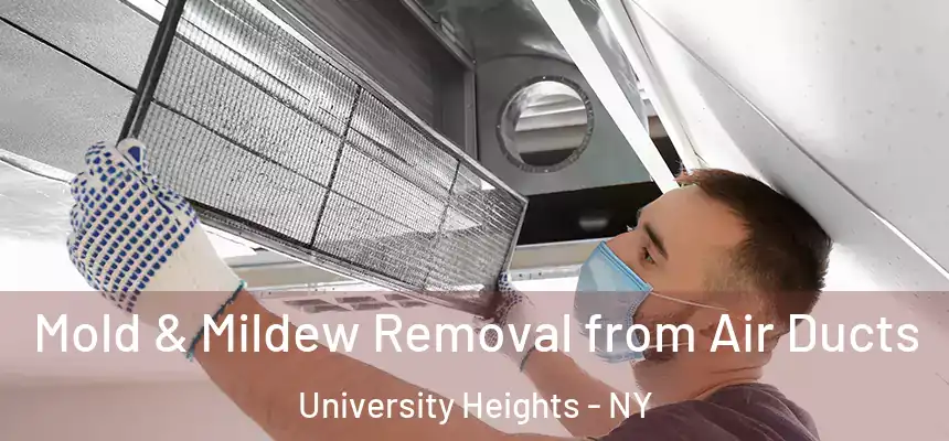  Mold & Mildew Removal from Air Ducts University Heights - NY