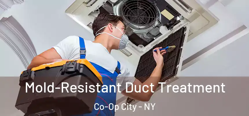  Mold-Resistant Duct Treatment Co-Op City - NY