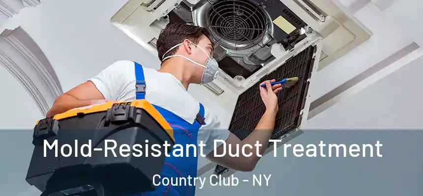  Mold-Resistant Duct Treatment Country Club - NY