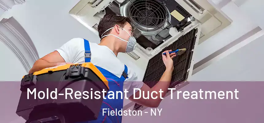 Mold-Resistant Duct Treatment Fieldston - NY