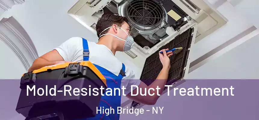  Mold-Resistant Duct Treatment High Bridge - NY