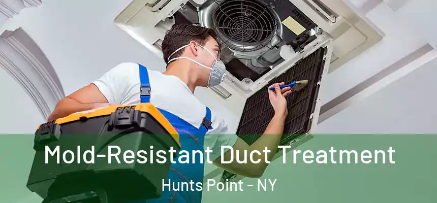 Mold-Resistant Duct Treatment Hunts Point - NY