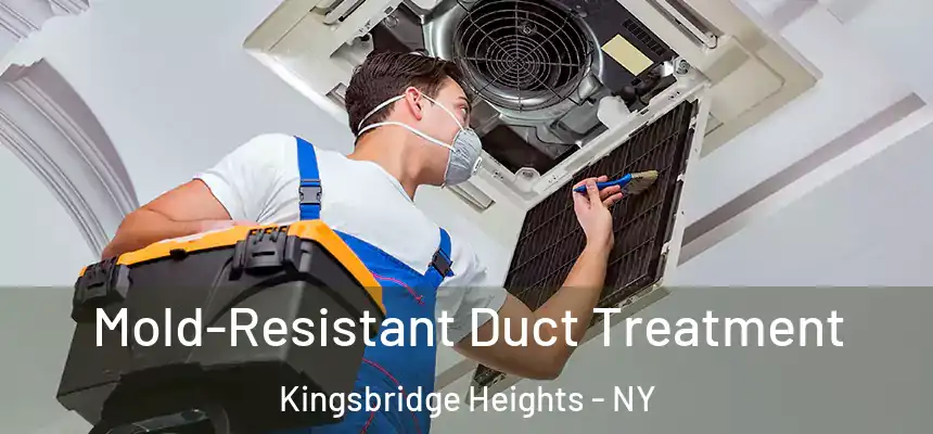 Mold-Resistant Duct Treatment Kingsbridge Heights - NY