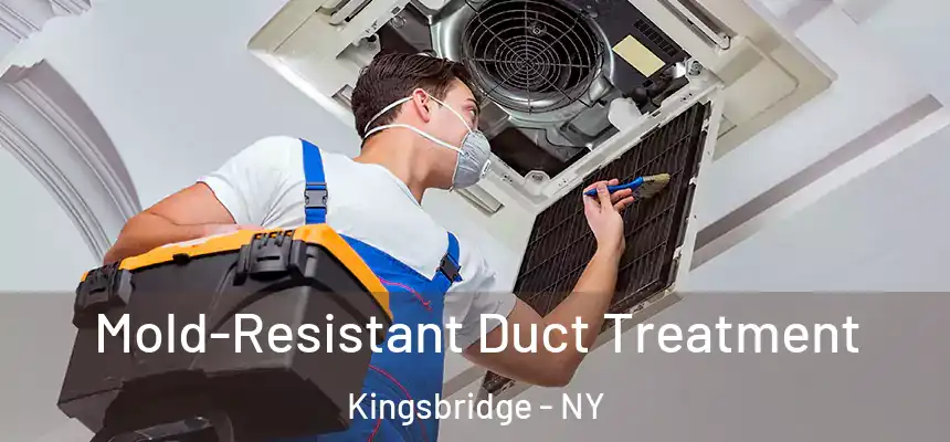  Mold-Resistant Duct Treatment Kingsbridge - NY
