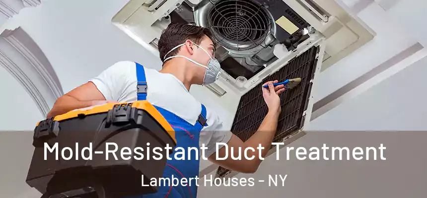 Mold-Resistant Duct Treatment Lambert Houses - NY