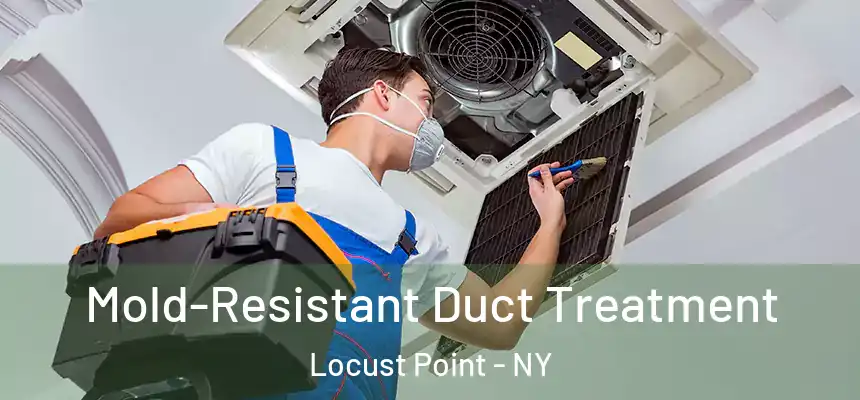  Mold-Resistant Duct Treatment Locust Point - NY