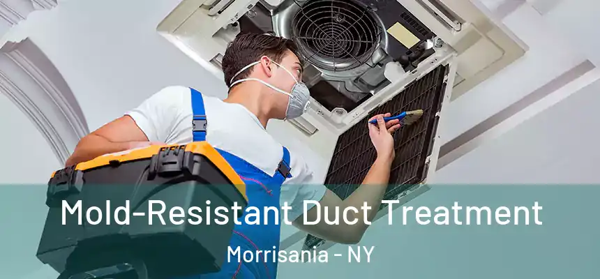Mold-Resistant Duct Treatment Morrisania - NY