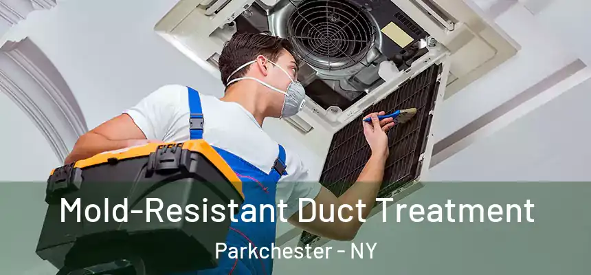 Mold-Resistant Duct Treatment Parkchester - NY