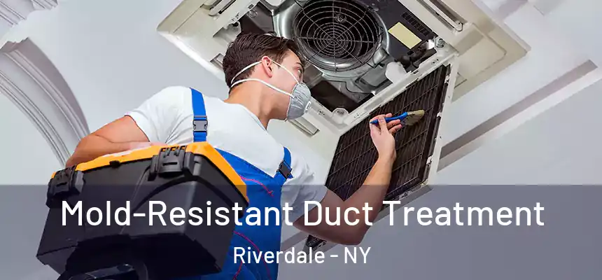  Mold-Resistant Duct Treatment Riverdale - NY