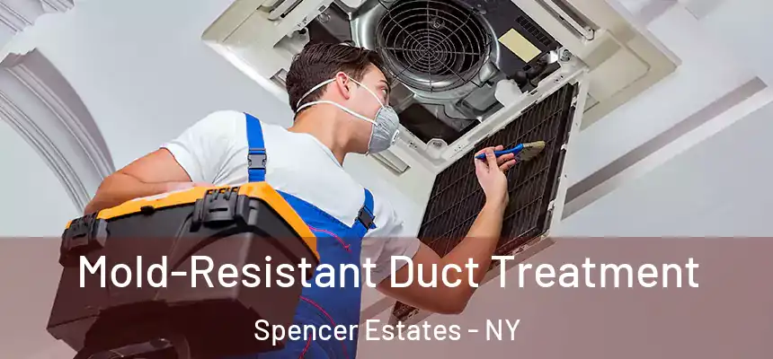 Mold-Resistant Duct Treatment Spencer Estates - NY