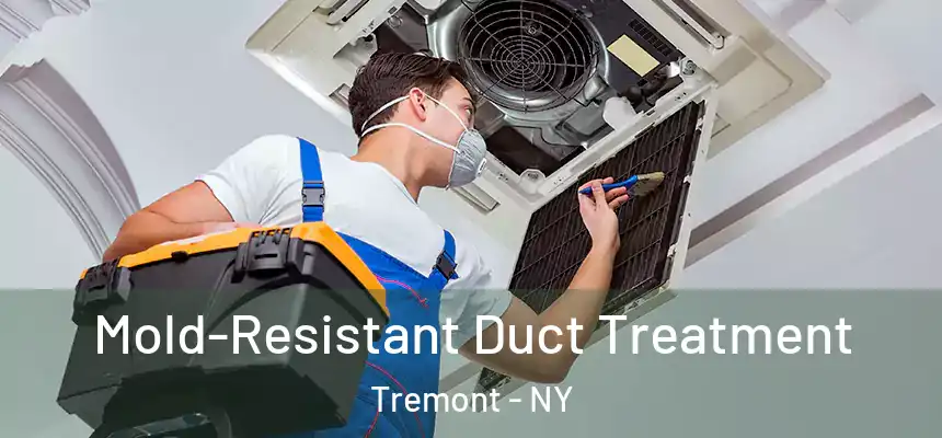 Mold-Resistant Duct Treatment Tremont - NY