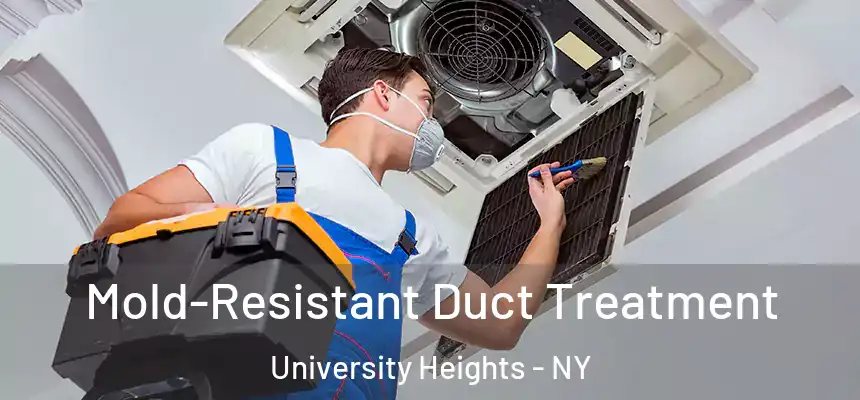  Mold-Resistant Duct Treatment University Heights - NY