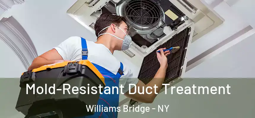 Mold-Resistant Duct Treatment Williams Bridge - NY