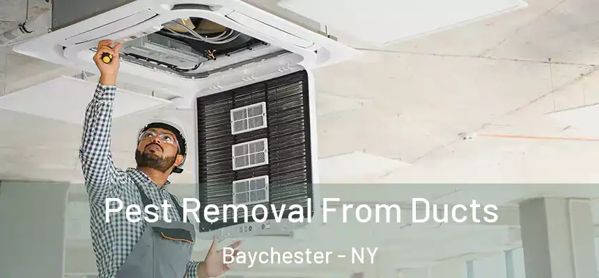  Pest Removal From Ducts Baychester - NY