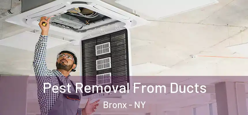  Pest Removal From Ducts Bronx - NY