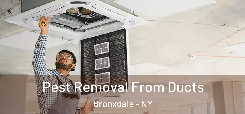  Pest Removal From Ducts Bronxdale - NY
