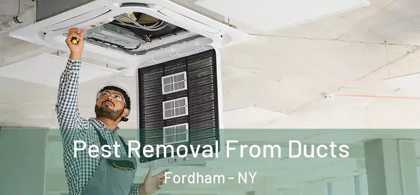  Pest Removal From Ducts Fordham - NY