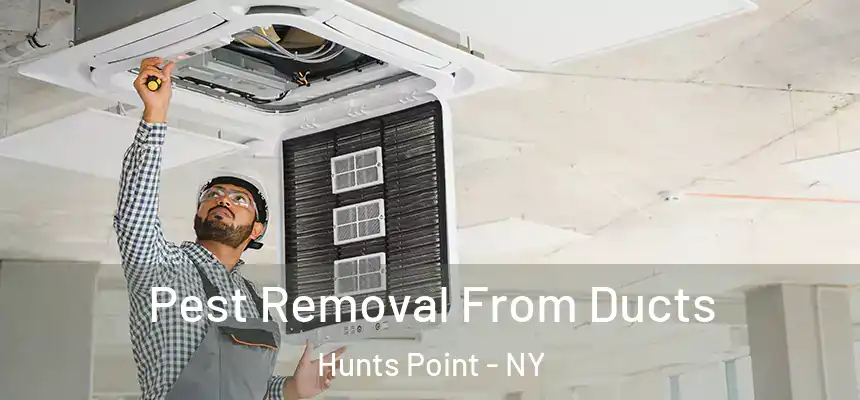  Pest Removal From Ducts Hunts Point - NY