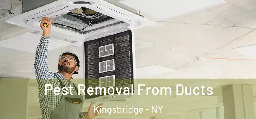 Pest Removal From Ducts Kingsbridge - NY