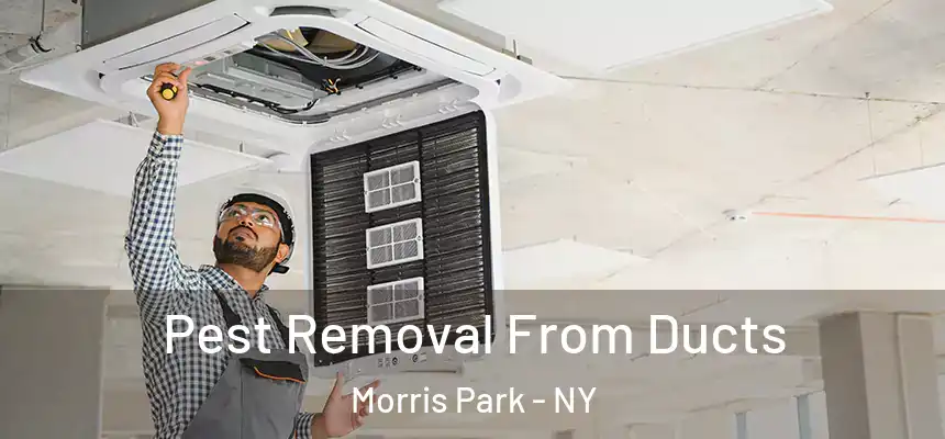  Pest Removal From Ducts Morris Park - NY