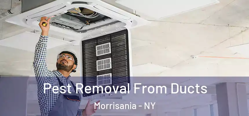 Pest Removal From Ducts Morrisania - NY